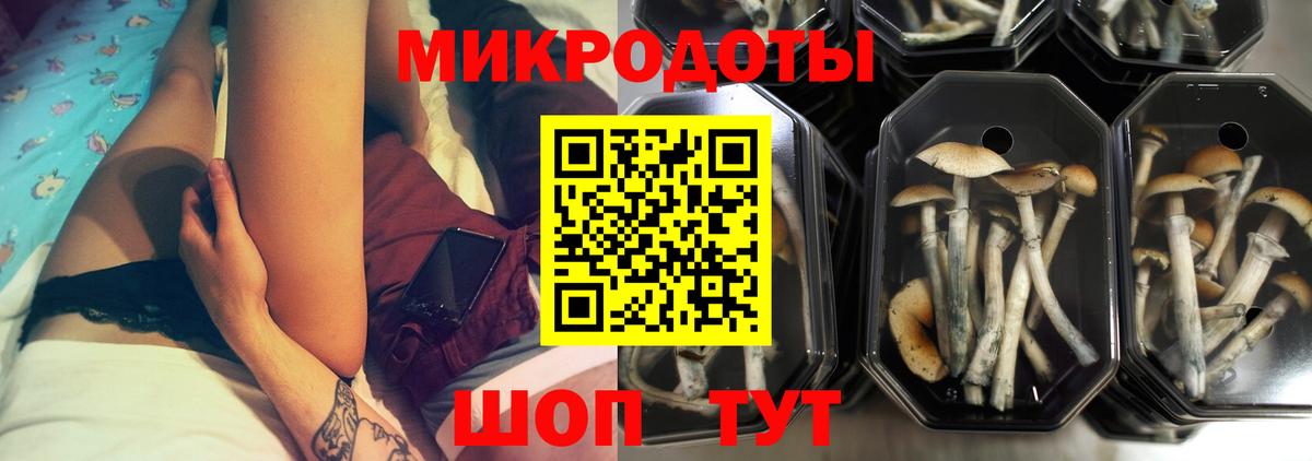 Ипатово  Псилоцибиновые грибы ЛСД  Псилоцибиновые грибы Magic Shrooms  Вход с VPN 
